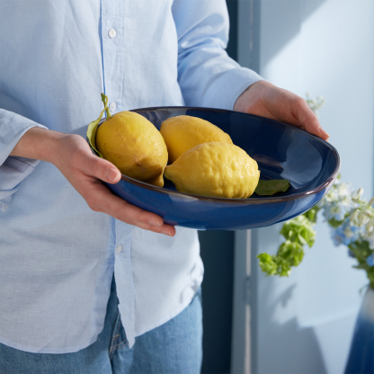 Imperial Blue Large Organic Dish