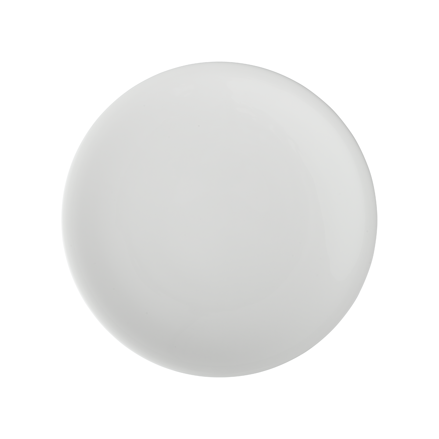 China By Denby Dinner Plate