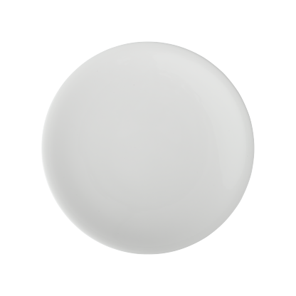 China By Denby Dinner Plate