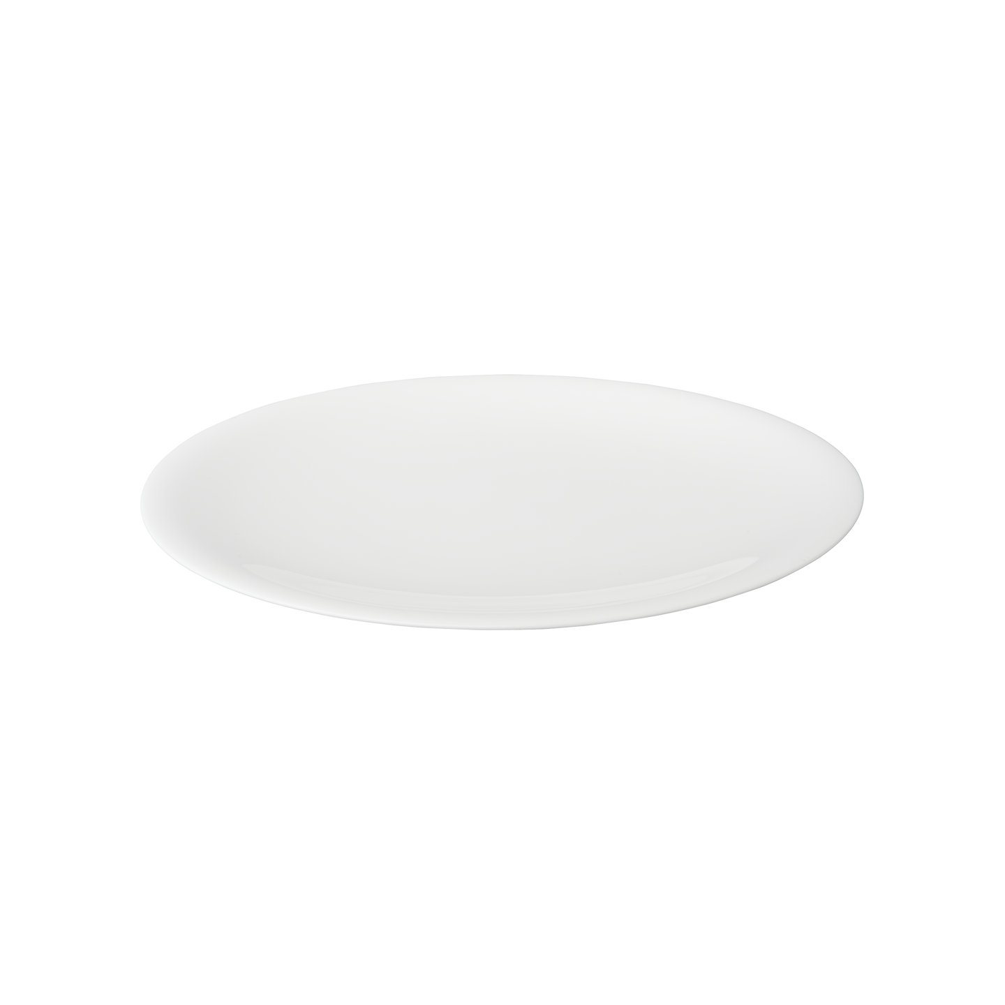 China By Denby Dinner Plate