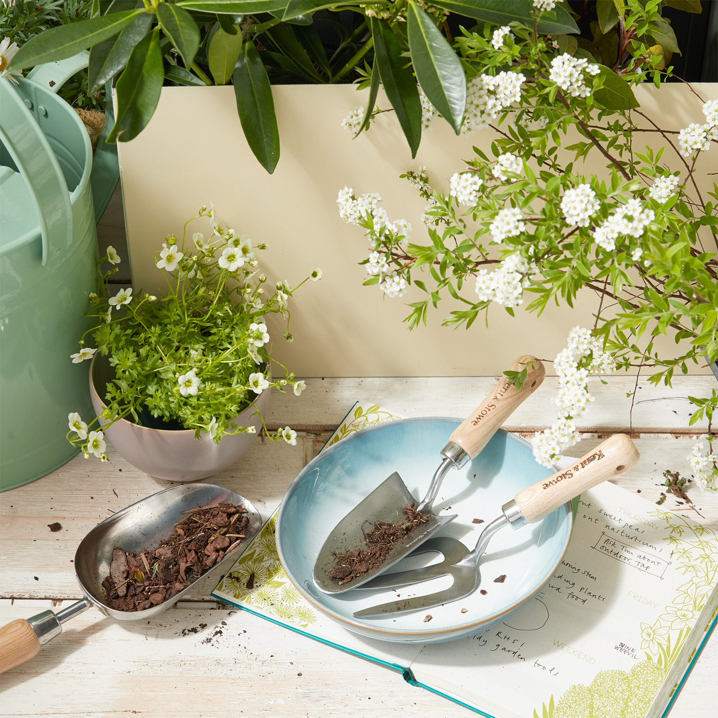 Azure Haze Pasta Bowls - Set Of 4