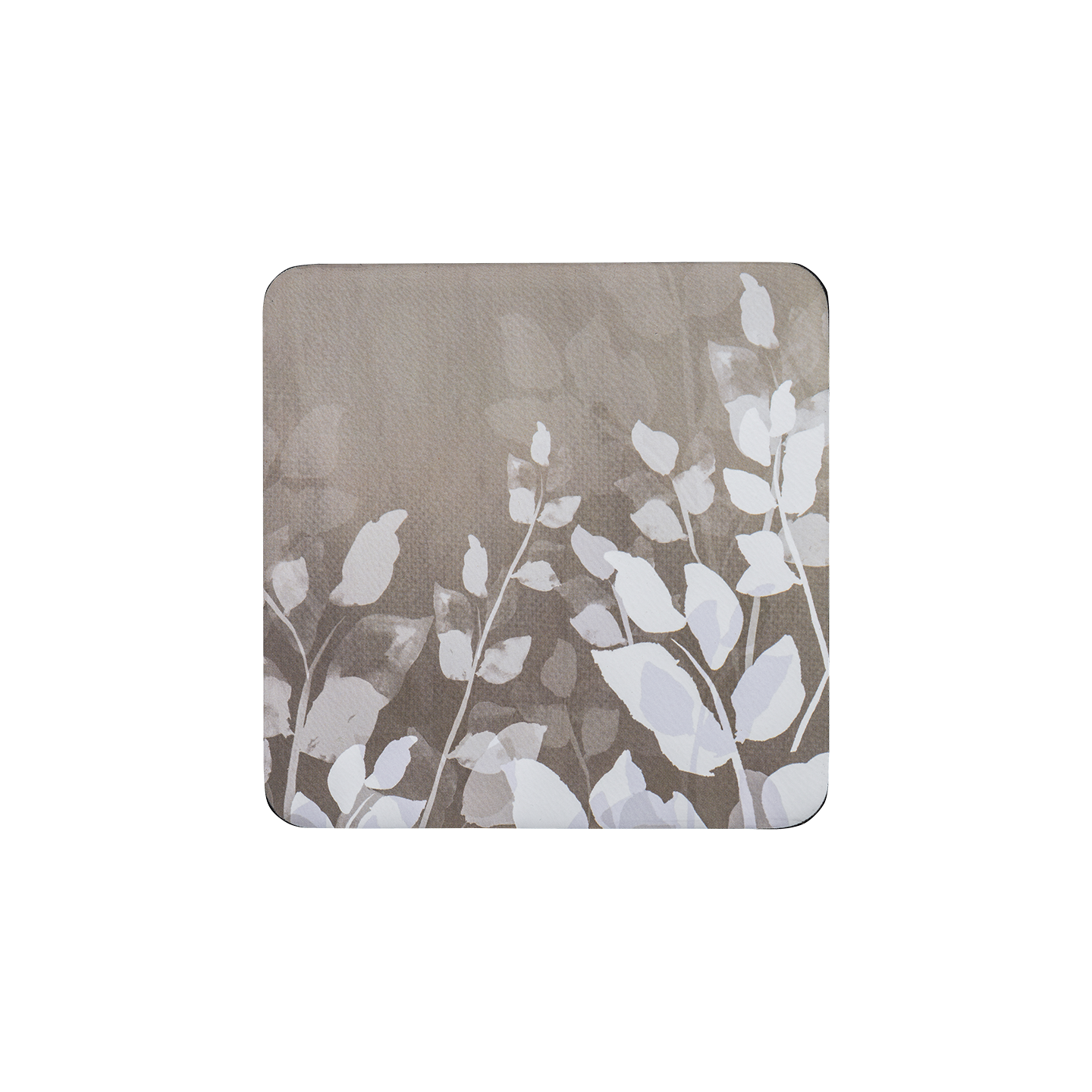 Colours Natural Foliage Coasters - Set Of 6