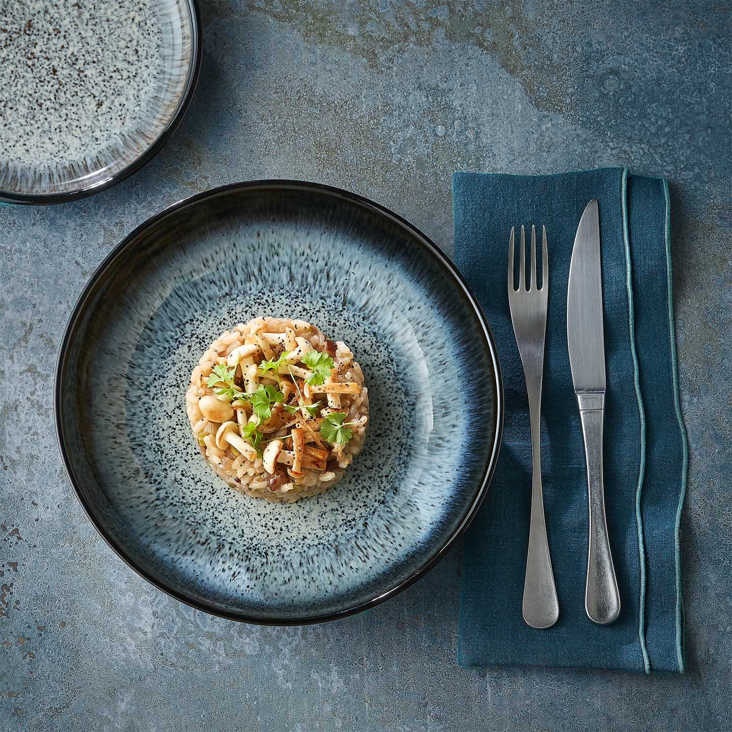 Halo Coupe Dinner Plate