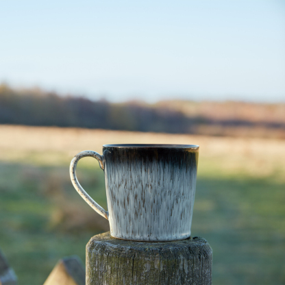 Halo 4 Piece Dinner Set