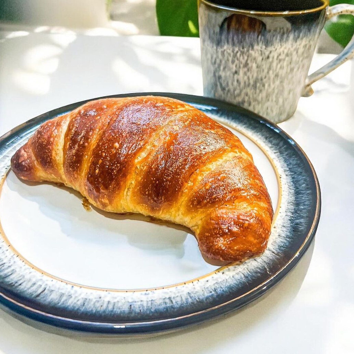 Halo 16 Piece Entertaining Set