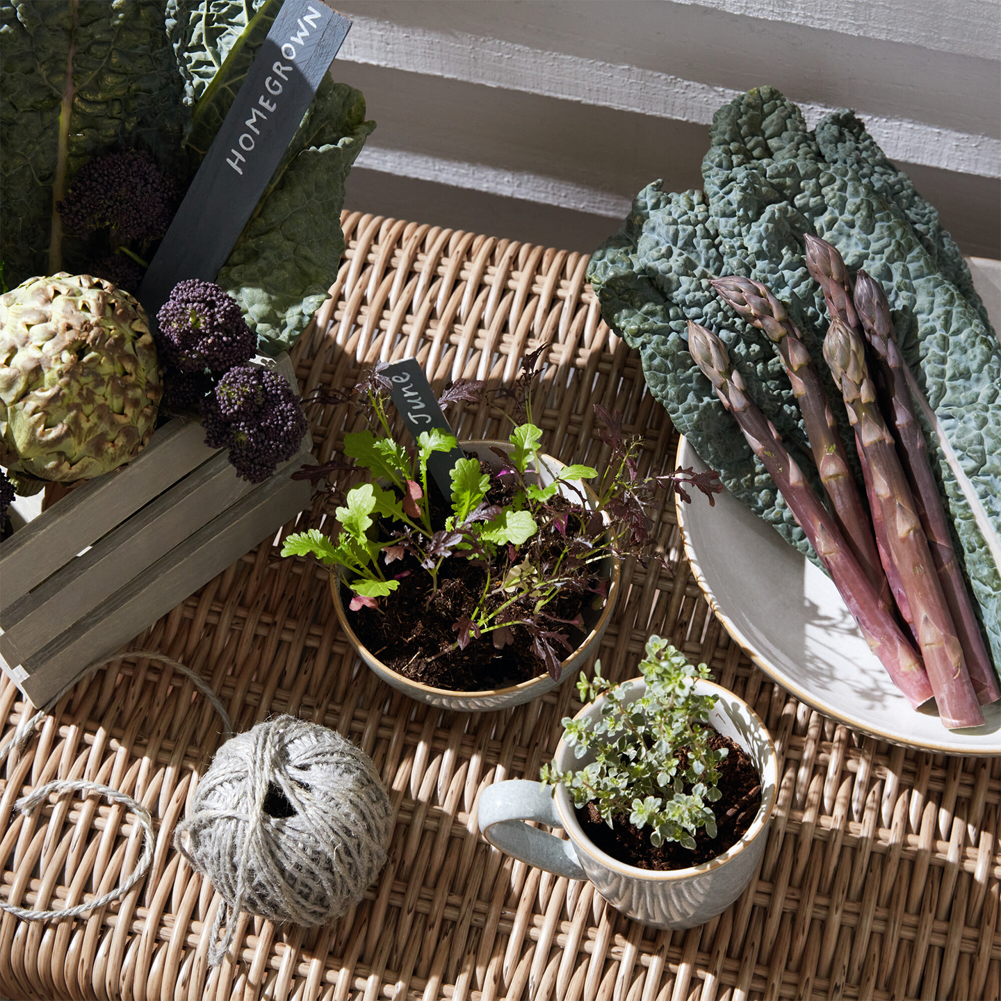 Elements Light Grey Coffee Beaker/Mugs - Set Of 4