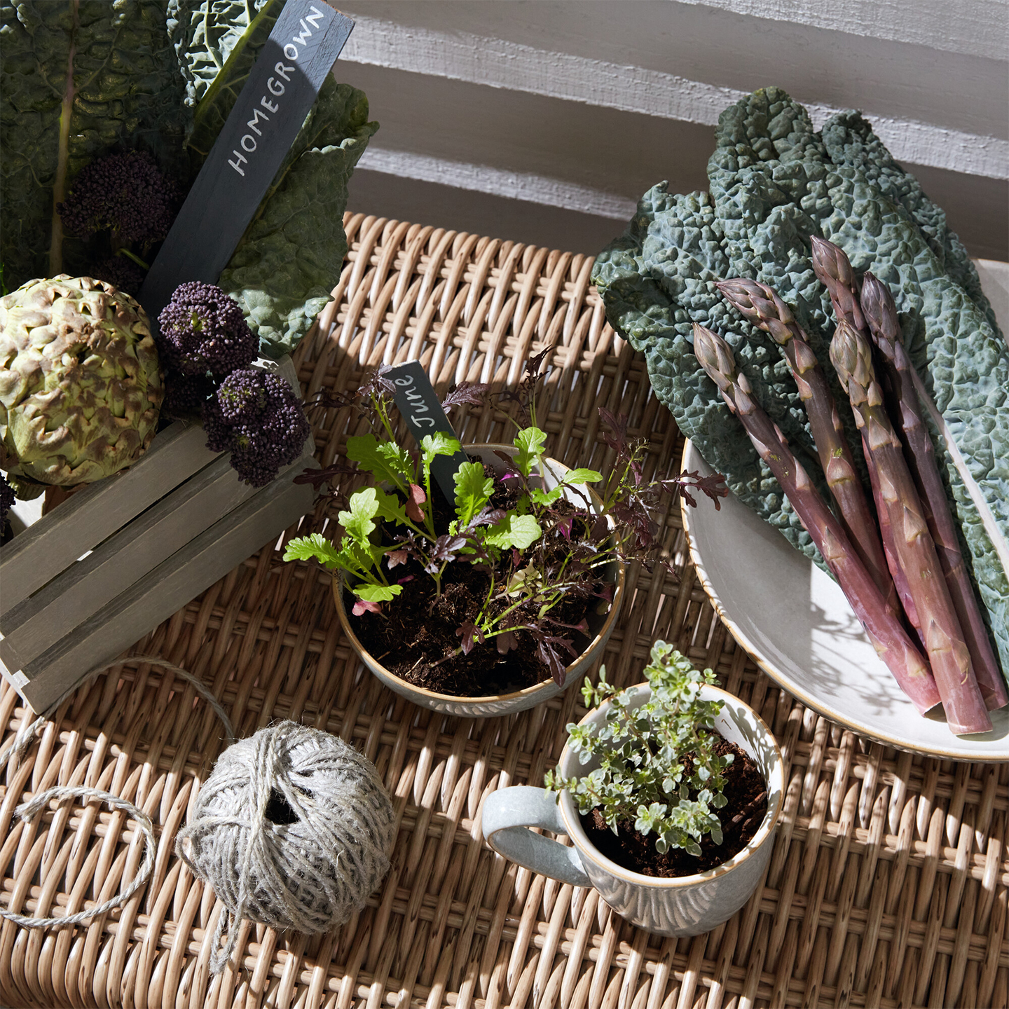 Elements Light Grey Coffee Beaker/Mugs - Set Of 4