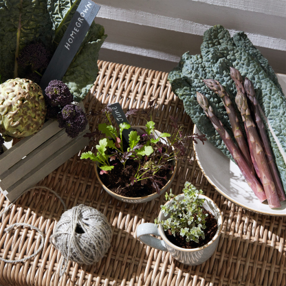 Elements Light Grey Coffee Beaker/Mugs - Set Of 4