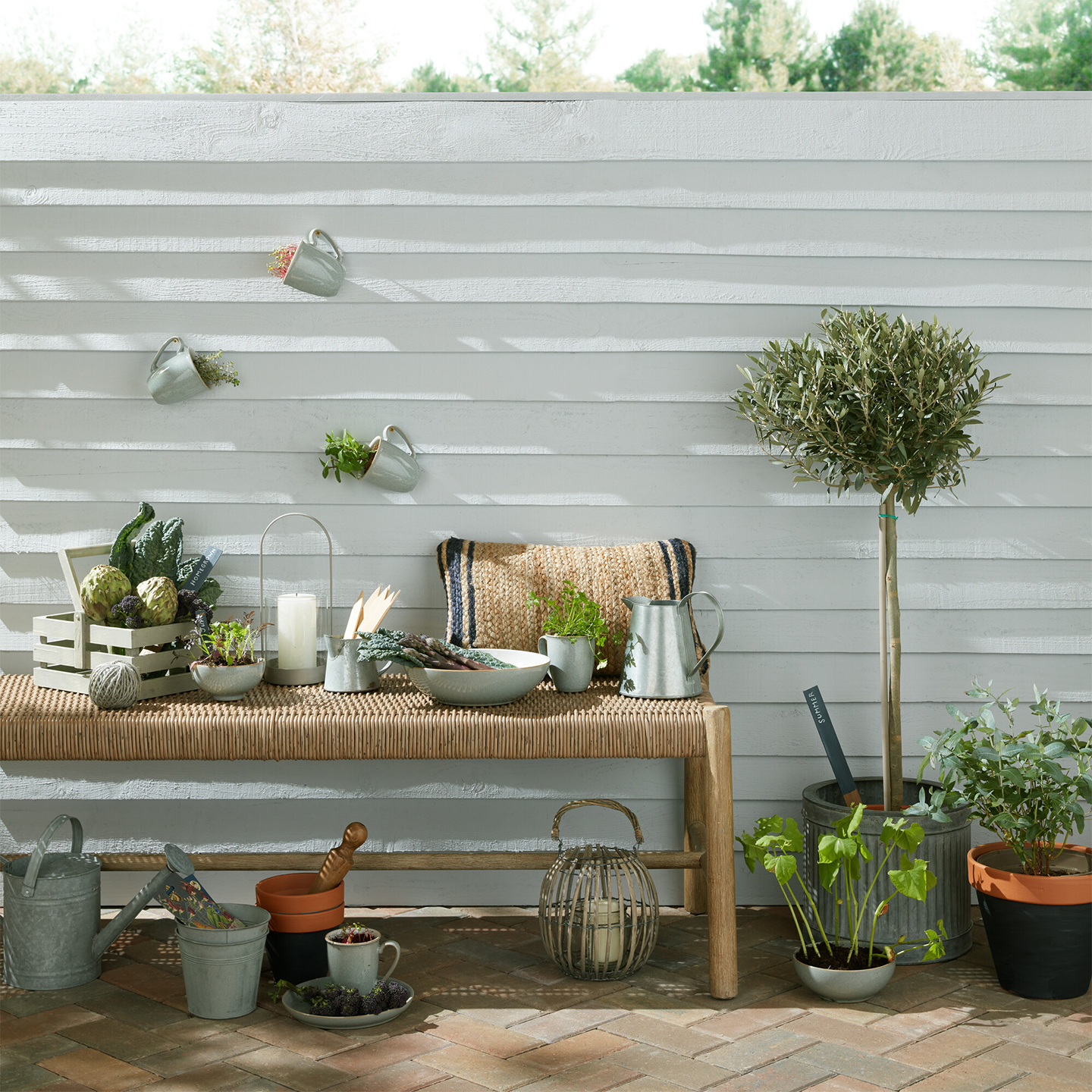 Elements Light Grey Coffee Beaker/Mugs - Set Of 4