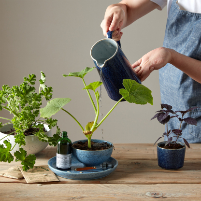 Studio Blue 4 Piece Coupe Medium Plate Set