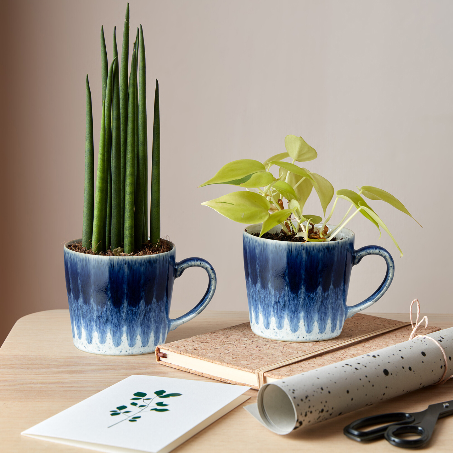 Studio Blue Accent Mug 2 Piece Set