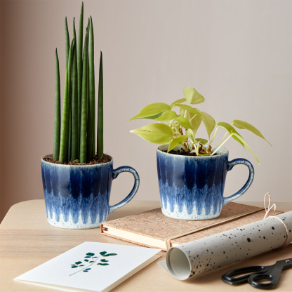 Studio Blue Accent Mug 2 Piece Set
