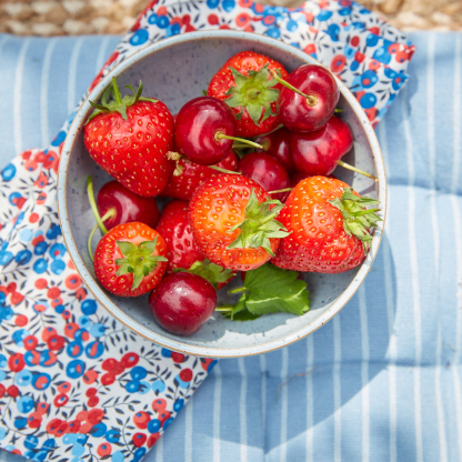 Studio Blue Set Of 4 Rice Bowls