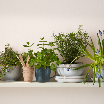 White Speckle Coupe Cereal Bowl
