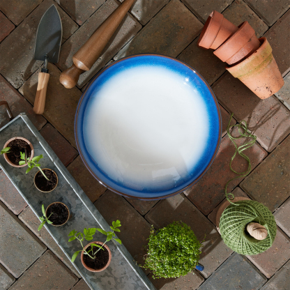 Blue Haze Large Serving Bowl