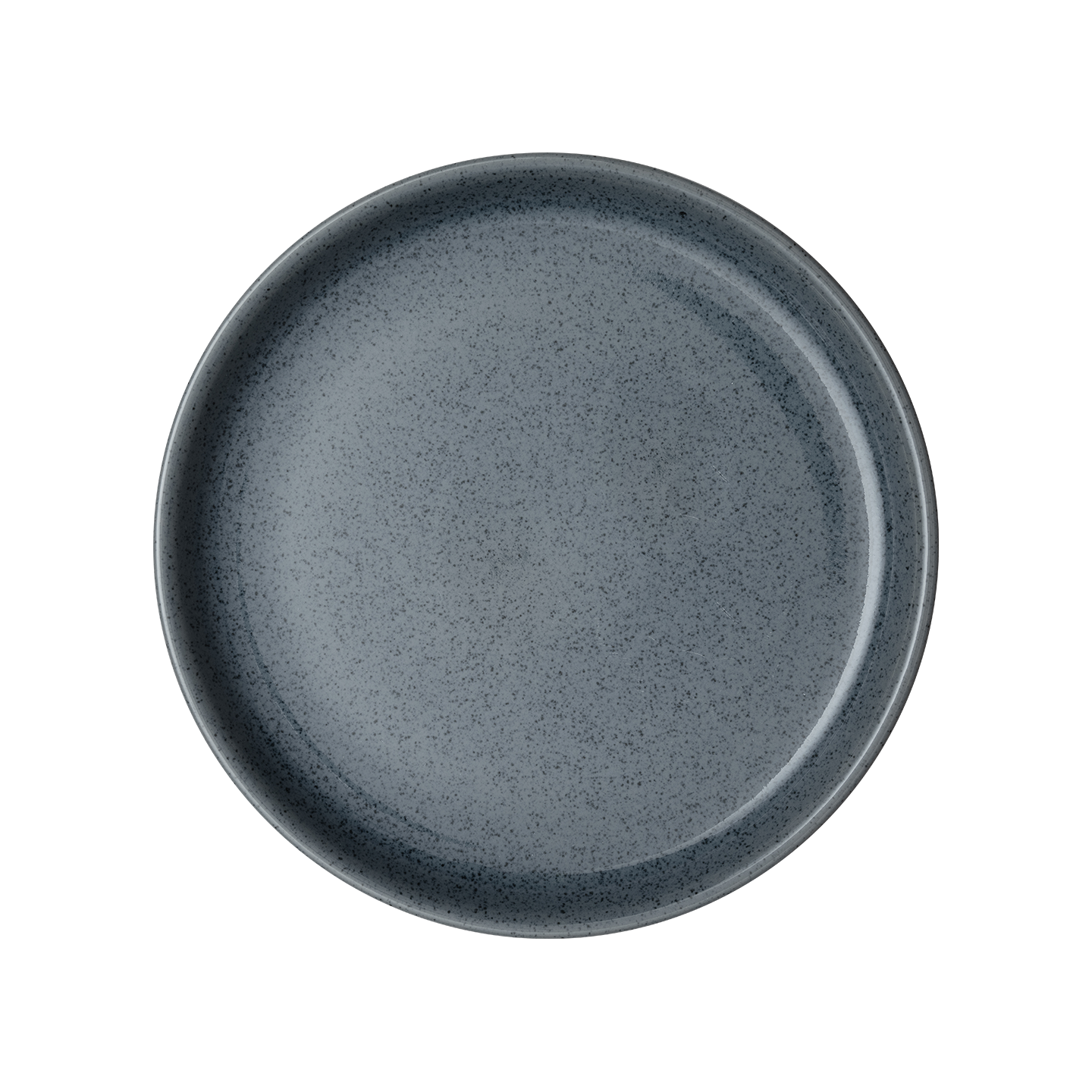 Dark Grey Speckle Coupe Dinner Plate