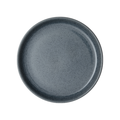 Dark Grey Speckle Coupe Dinner Plate