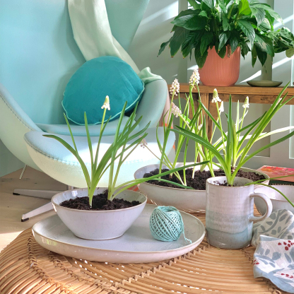 Kiln Green Cereal Bowl - Set Of 4