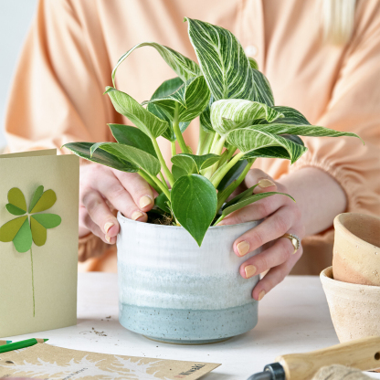 Kiln Green Medium Pot