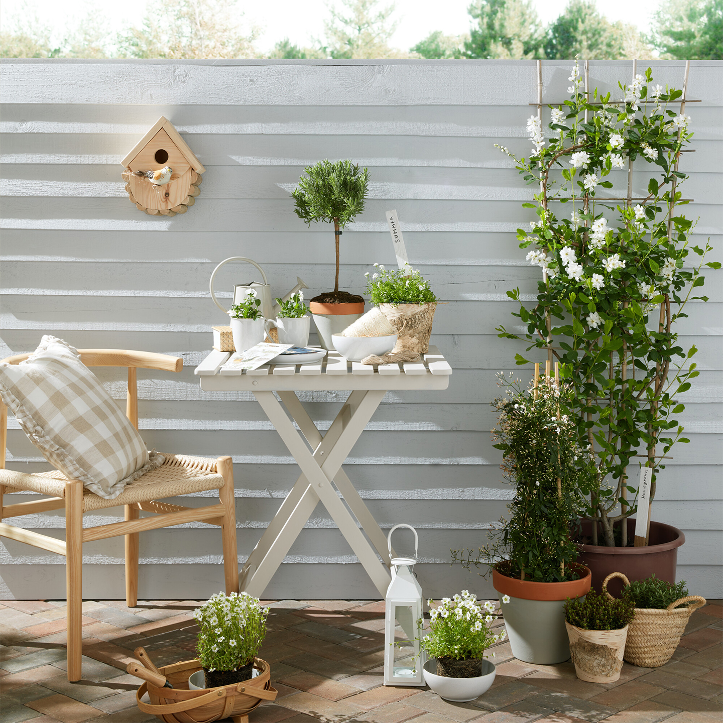 Elements Stone White Coupe Cereal Bowls - Set Of 4