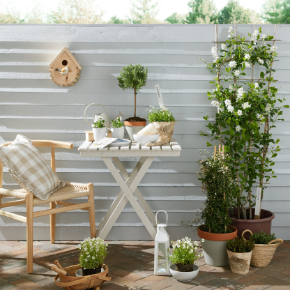 Elements Stone White Coupe Cereal Bowls - Set Of 4