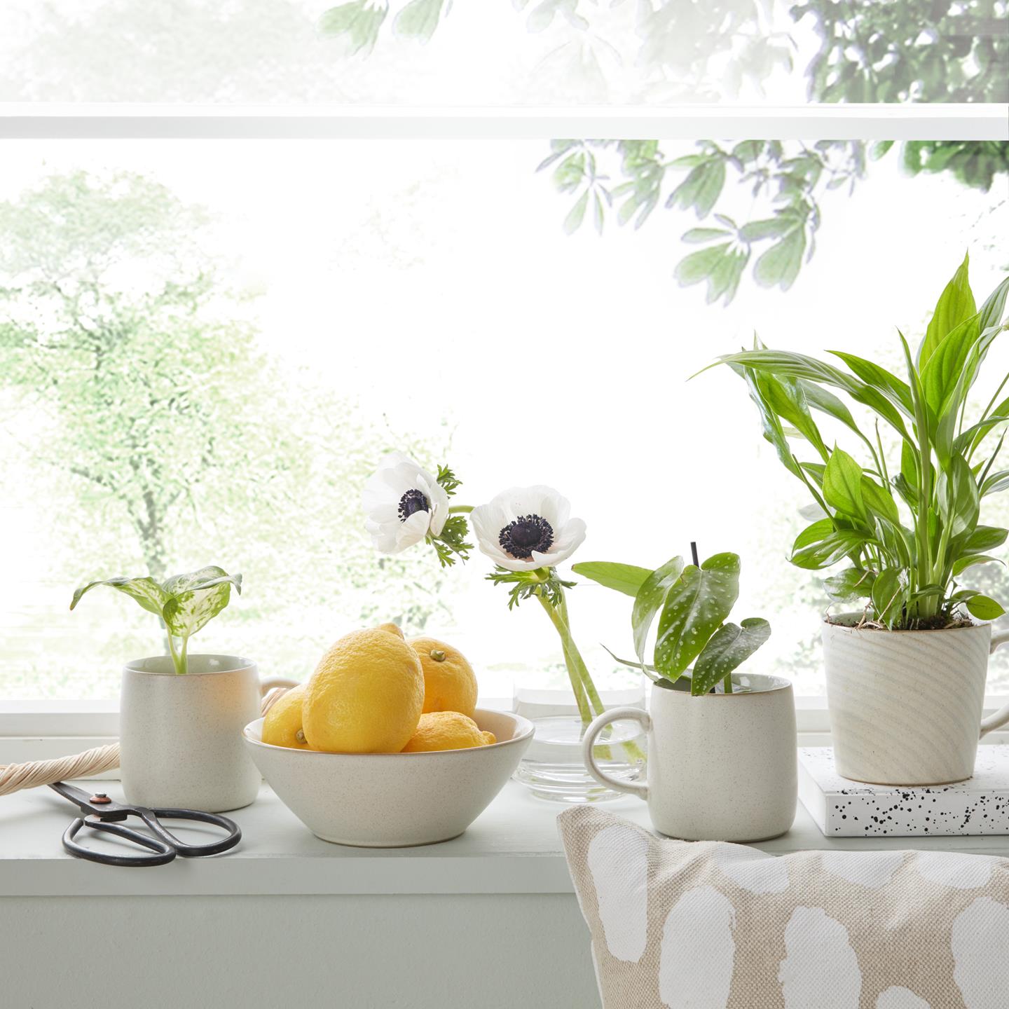 Impression Assorted Small Mugs Cream And Charcoals - Set Of 2