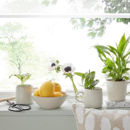 Impression Assorted Small Mugs Cream And Charcoals - Set Of 2