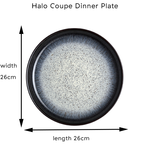 {"default":"large coupe plate size length and width 26cms"}
